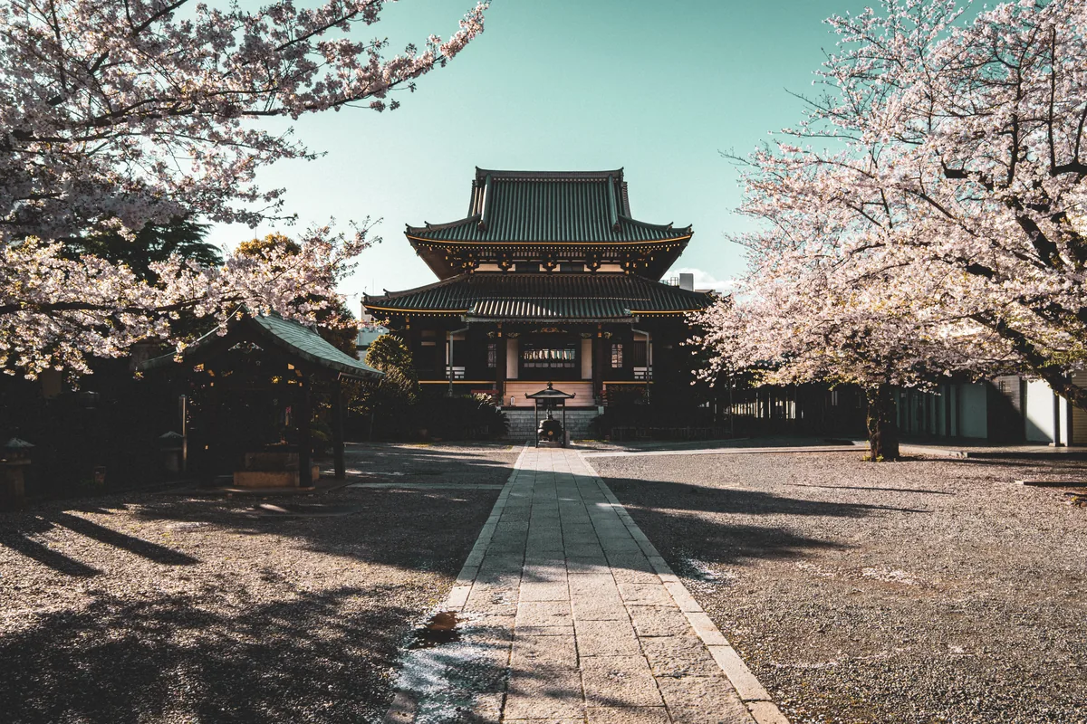 A temple courtyard framed by flowering trees.